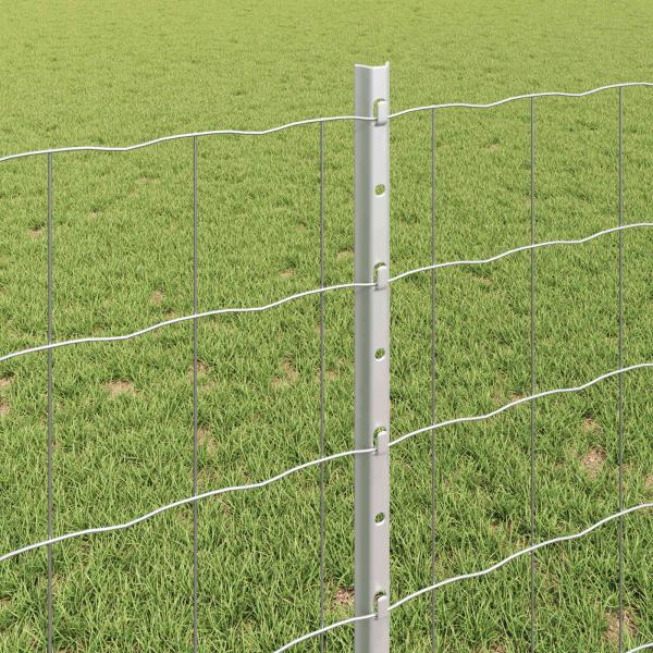 Eurozaun mit Pfosten 25 x 0,8 m Verzinkter Stahl Silber Netz
