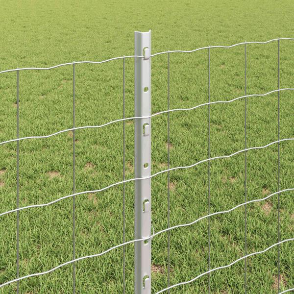 Euro-Zaun mit Pfosten 10 x 0,8 m Verzinkter Stahl Silber Netz