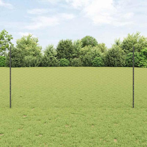 ARDEBO.de - Gartenzaun-Set Set aus 2 Grau Metall Groß Robust Gartenzaun