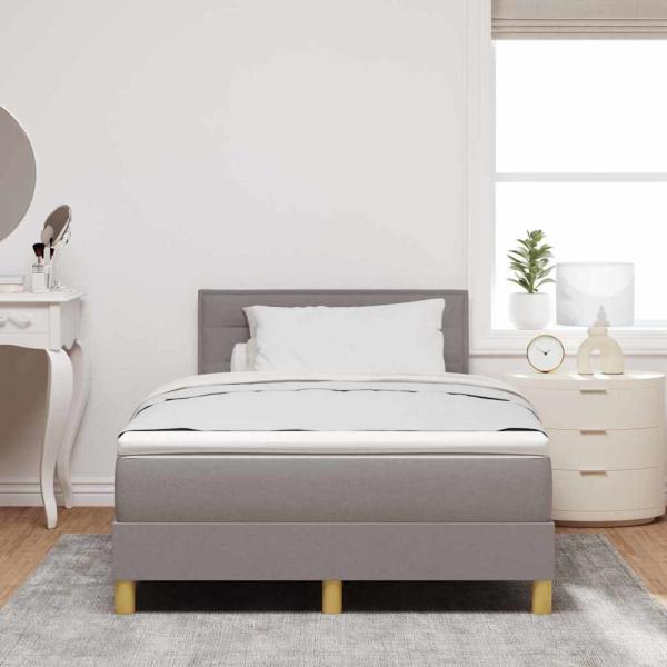 Boxspringbett mit Matratze Taupe 120x200 cm Stoff