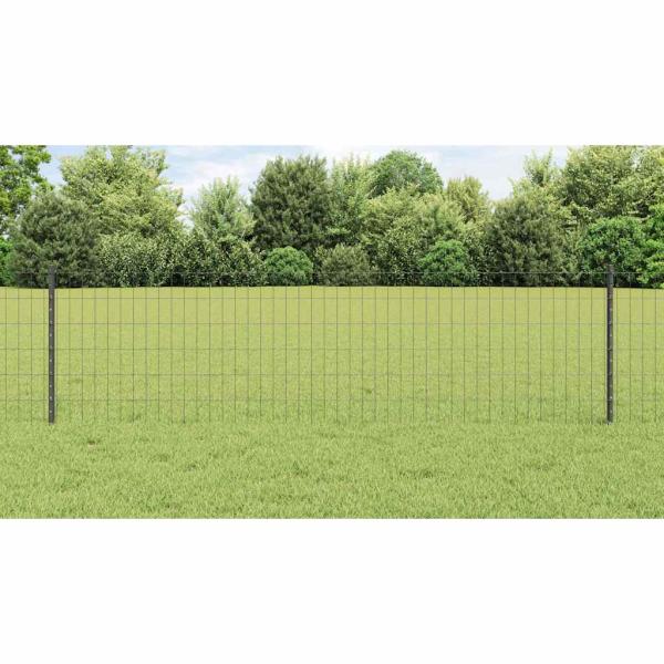 Euro Zaun mit 5 U Pfosten Grau 0.6x10 m Stahl