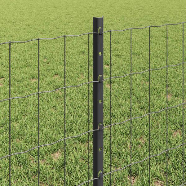 Euro Zaun mit 5 U Pfosten Grau 0.6x10 m Stahl