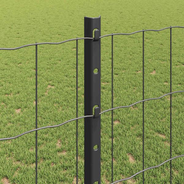 Euro Zaun mit 10 U-Posten Grau 1,2x10 m Stahl