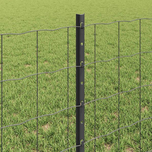 Euro Zaun mit 5 U-Posten Grau 0,6x10 m Stahl
