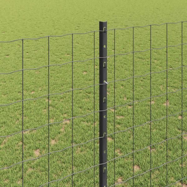 Euro-Zaun mit Pfosten 10 x 1,6 m PVC-beschichteter Stahl Grau