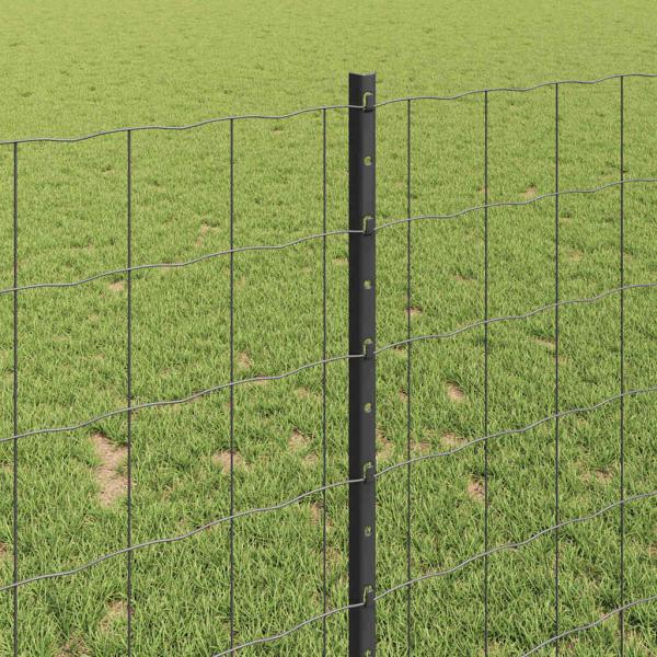 Euro-Zaun mit 10 U-Pfosten Grau 1x10 m Stahl