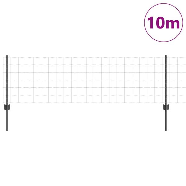 Euro-Zaun mit 5 U-Posten Grau 0.6x10 m Stahl