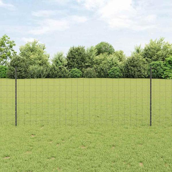 ARDEBO.de - Gartenzaunset Set aus 2 Grau Pulverbeschichteter Stahl 10 x 1 m