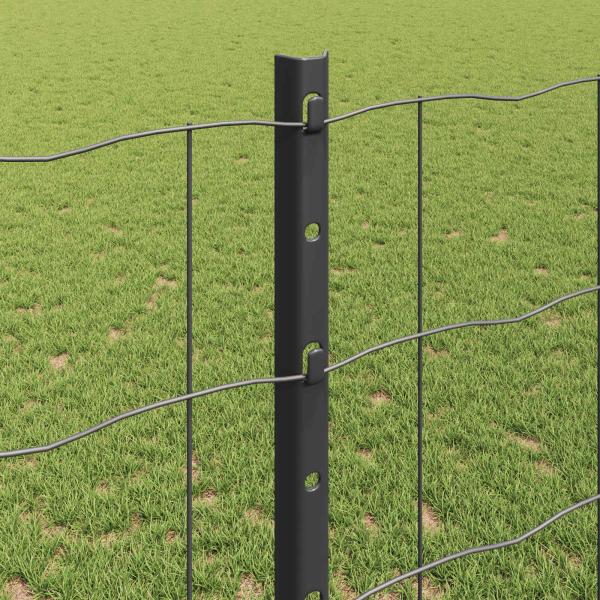 Euro-Zaun mit 10 U-Posten Grau 1,2x10 m Stahl