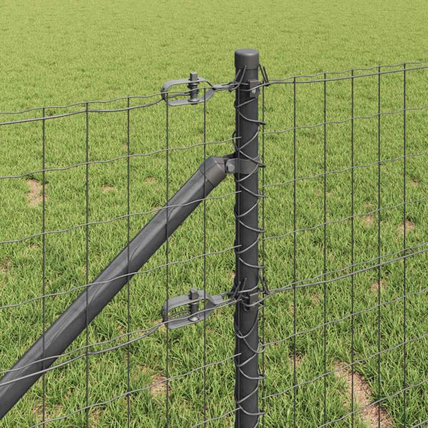 Euro-Zaun mit Stacheln 10 x 0,6 m PVC-beschichteter Stahl Grau