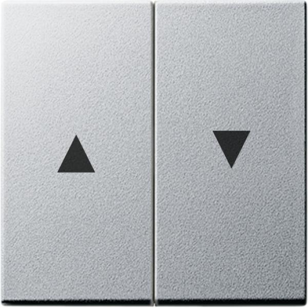 Gira 029426 Wippe 2f Pfeil System 55 F Alu
