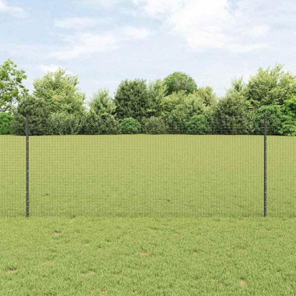 ARDEBO.de - Gartenzaunset Set aus 2 Grau Metall 10 x 1 m Robust