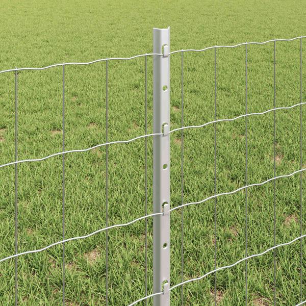 Euro Zaun Set Set aus 2 Verzinkter Stahl 10 x 0.6 m Langlebig