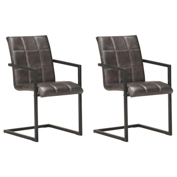 ARDEBO.de - Freischwinger 2 Stk. Grau Echtleder