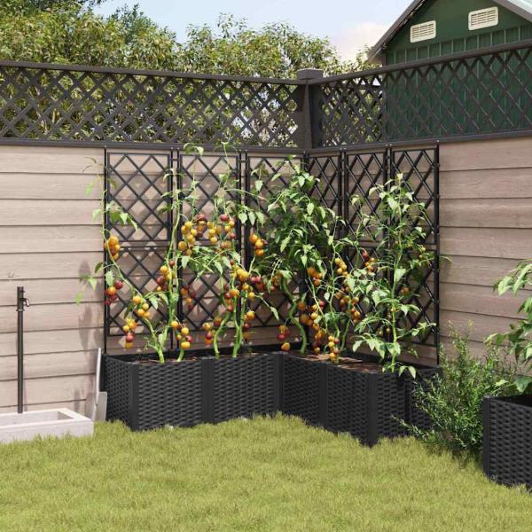 Garten Pflanzer mit Trellis 5 Stück Schwarz 120x120x143 cm