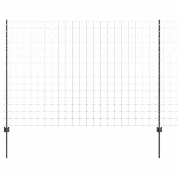 Eurozaun mit 10 U-Pfosten Grau 1.6x10 m Stahl