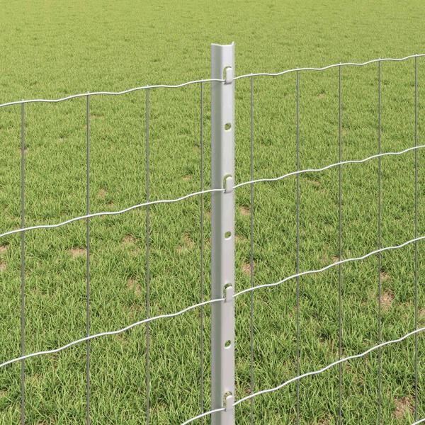 Eurozaun mit Pfosten 25 x 0,8 m Verzinkter Stahl Silber Netz