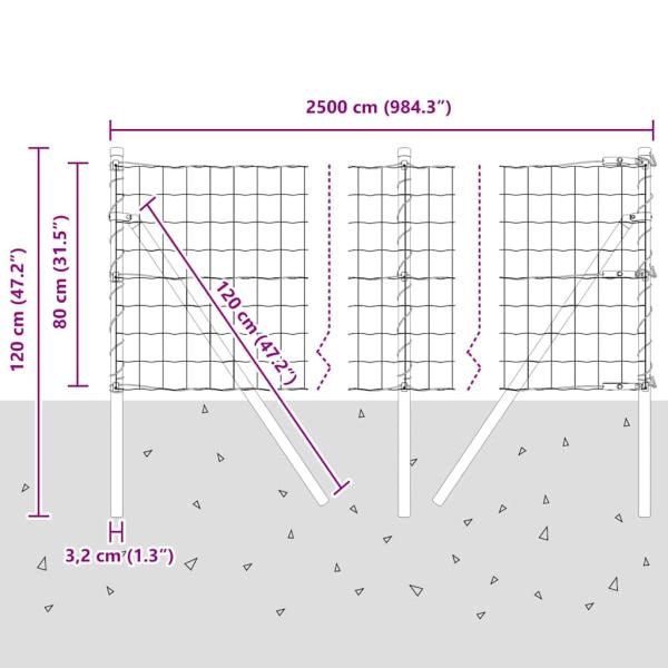 Euro Zaun Set aus 2 Grün Metall 25 x 0,8 m Langlebig