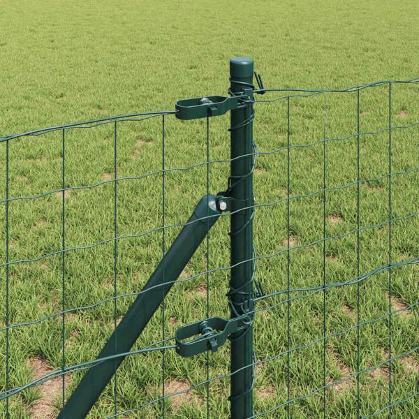 Euro Zaun Set aus 2 Grün Metall 25 x 0,8 m Langlebig