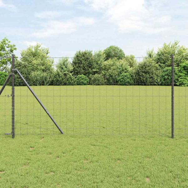ARDEBO.de - Euro Zaun Set aus 2 Grau Pulverbeschichteter Stahl 10 x 1 m