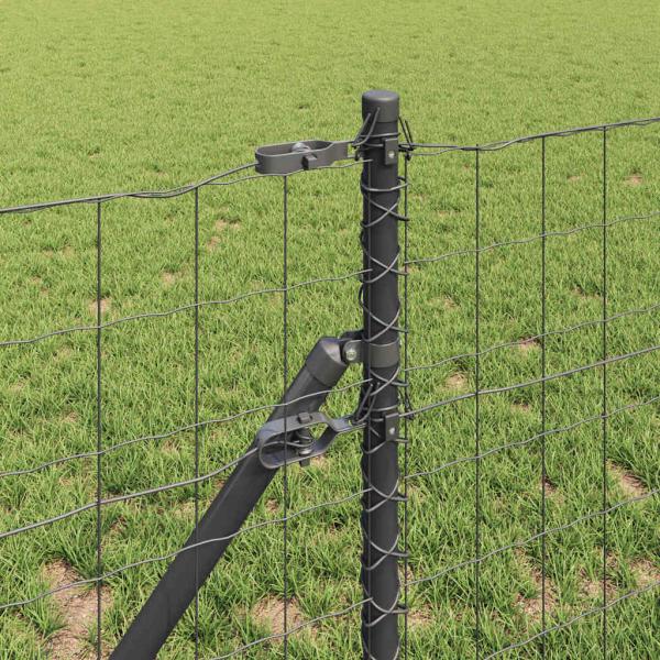 Euro-Zaun mit 13 Pfosten 0.8x25 m Verzinkter Stahl Grau
