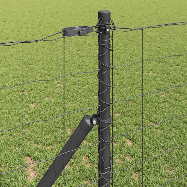 Euro Zaun mit 13 Pfosten 1,2x25 m feuerverzinktem Stahl Grau