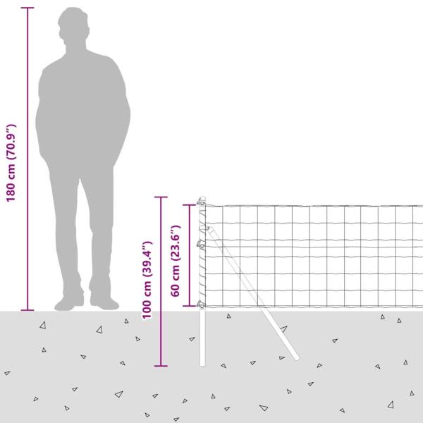 Euro Zaun mit 13 Pfosten 0,6x50 m verzinkter Stahl Grau