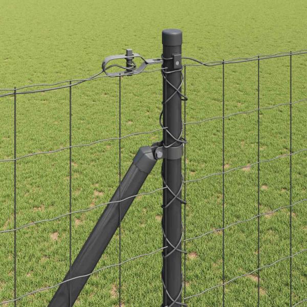 Euro-Zaun mit Stacheln 10 x 1,6 m PVC-beschichteter Stahl Grau