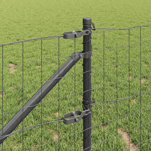 Euro Zaun mit 13 Spike-Posts 0.6x50 m galvanisierter Stahl Grau