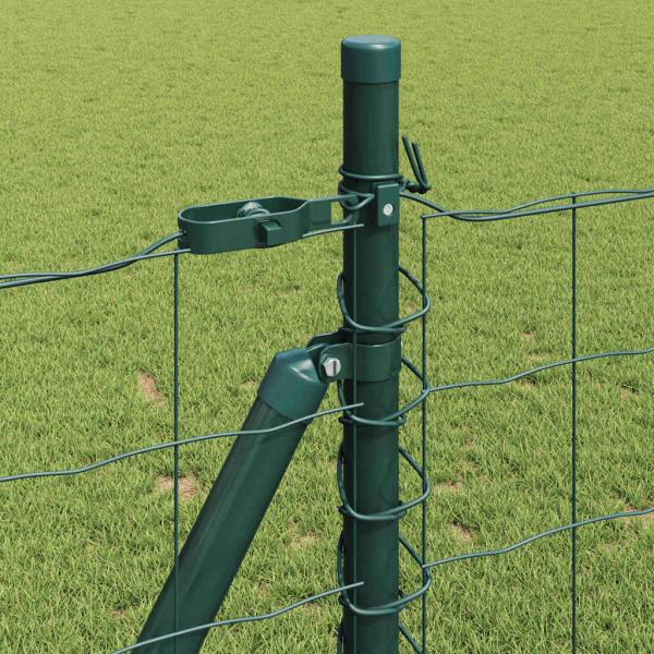 Eurozaun Set mit 2 Grün Pulverbeschichteter Stahl 25 x 0,8 m