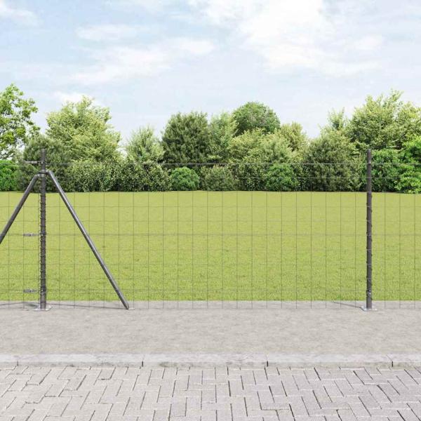 ARDEBO.de - Eurozaun Set aus 2 Grau Metall 10 x 1 m Langlebig Zaun