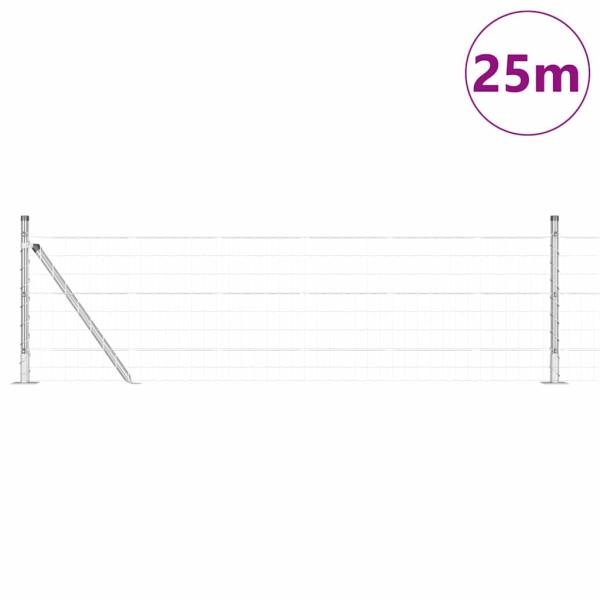 Euro Zaun mit 13 Flanschpfosten 0,4x50 m Galvanisierter Stahl