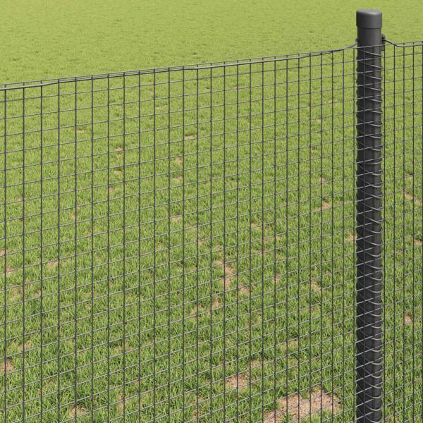 Geschweißter Drahtzaun Grau 0.4x10 m Stahl