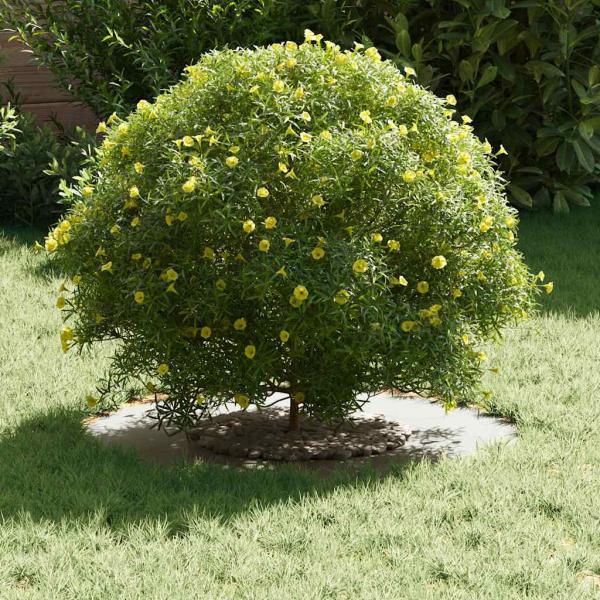 Plastikpflanzer Weiß Kunststoff Groß Plastikpflanzer Rund