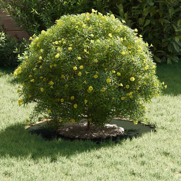 Olivgrüner Pflanzkübel Olivgrün Kunststoff Mittel