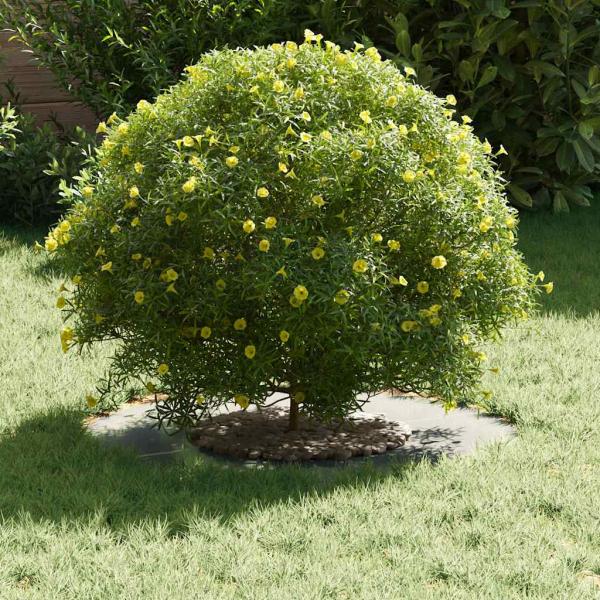 Verzinktes Metallpflanzgefäß Verzinkt Verzinkter Stahl