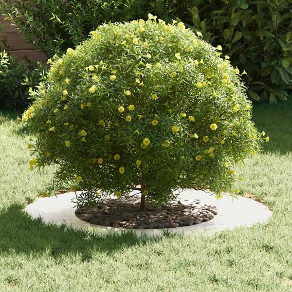 Edelstahl Pflanztopf Edelstahl Groß Langlebig