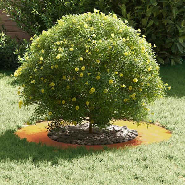 Cortenstahl Blumentopf Cortenstahl Mittel Dekorative Intarsien