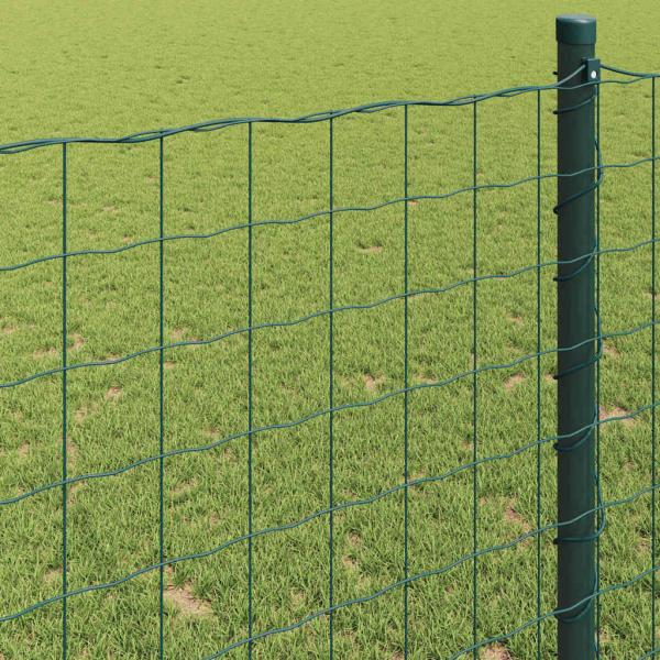 Euro Zaun Grün 0,4x10 m Stahl