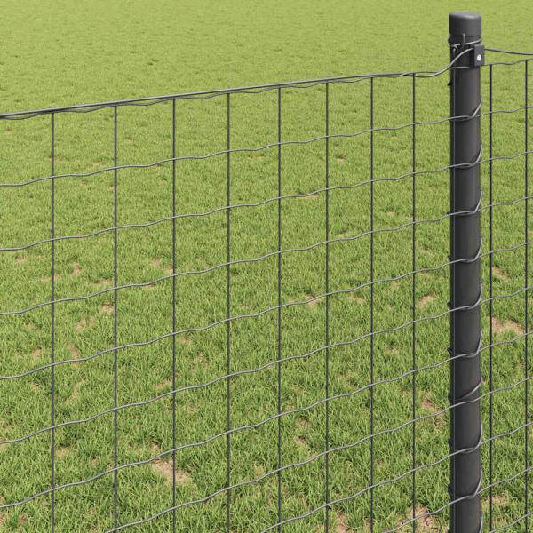 Eurozaun Grau 1x25 m Stahl