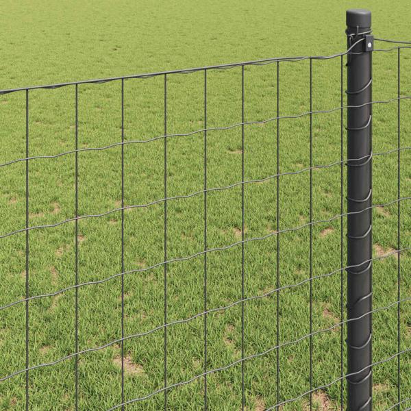 Euro-Zaun Grau 0.6x25 m Stahl