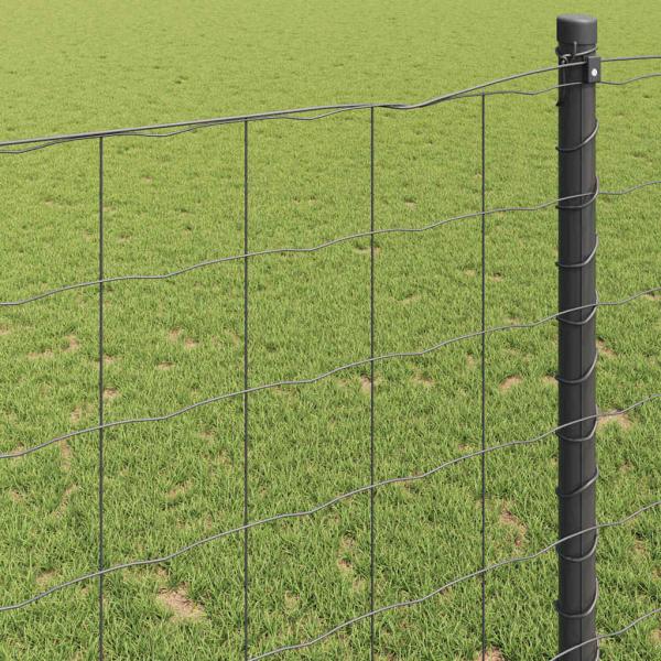 Euro Zaun Grau 0.6x25 m Stahl
