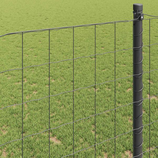 Euro Zaun Grau 0.4x50 m Stahl