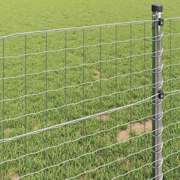 Eurozaun 0,8 x 10 m PVC-beschichtetes Eisen