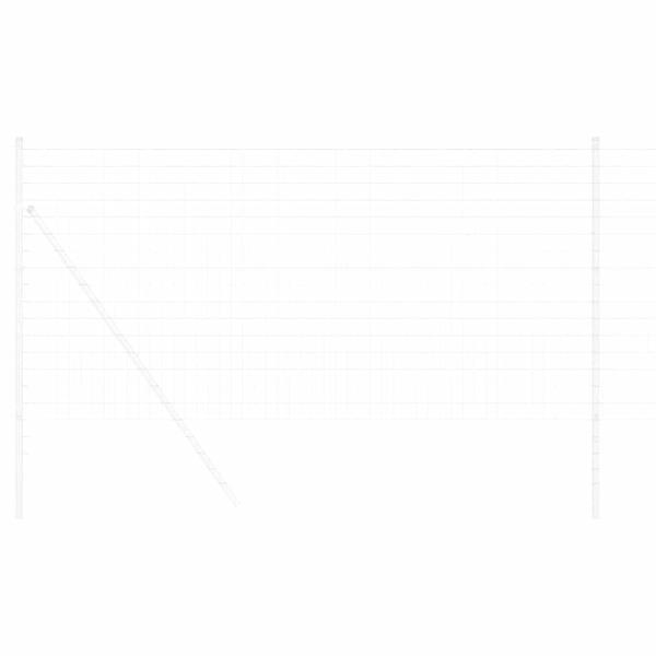 Eurozaun 1,2x10 m Verzinkter Stahl