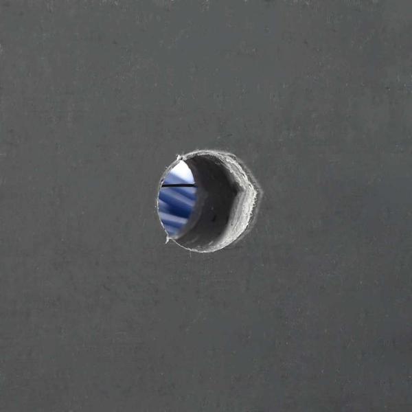Viehbürsten Wandmontiert 50x10x6.5 cm