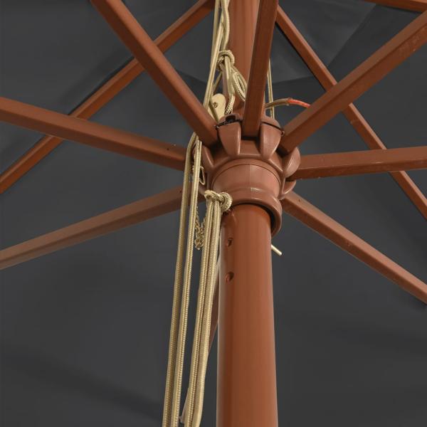 Sonnenschirm mit Holzmast Schwarz 400x273 cm