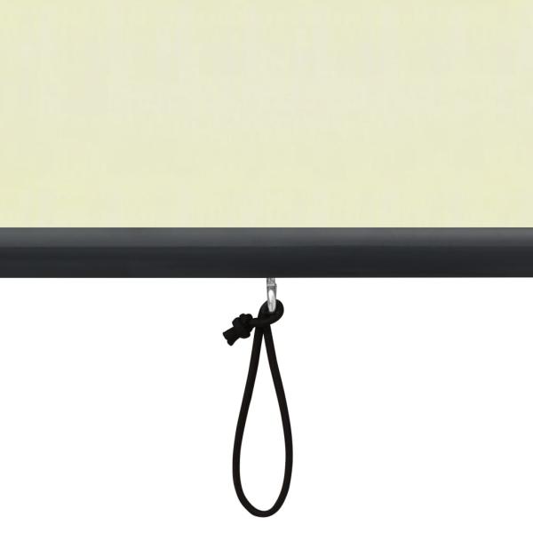 Außenrollo 140x250 cm Creme