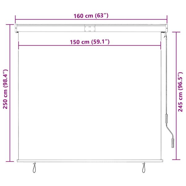 Außenrollo 160x250 cm Creme