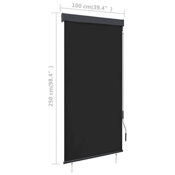Außenrollo 100 x 250 cm Anthrazit